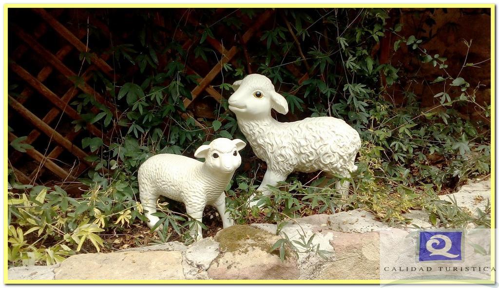 Barásoain Casa Rural Casa Julito מראה חיצוני תמונה